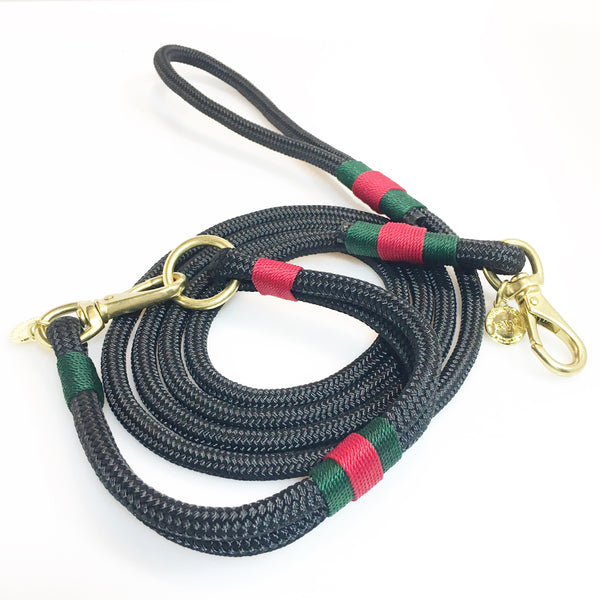 Pucci Collar and Leash Set