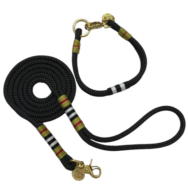 Furberry Collar and Leash Set